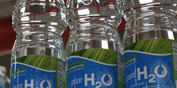 Endocrine Disruptors Have an Epigenetic Effect