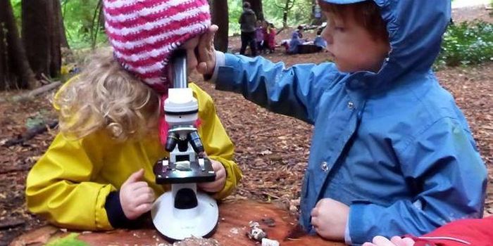 Our nature, our classroom