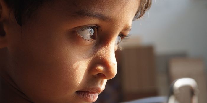 What is a Supernormal Stimulus?