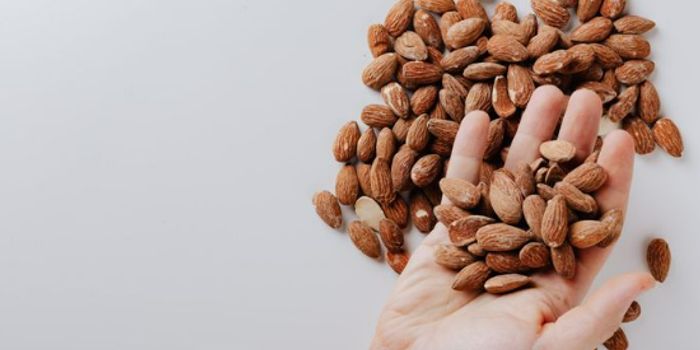 A Handful of Almonds a Day Keeps the Microbiome at Bay