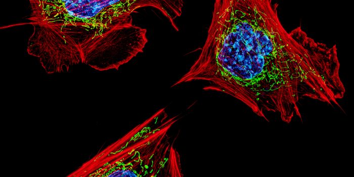 How Some Tissues 'Breathe' When There's No Oxygen