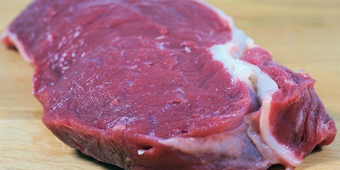 Common food-borne parasite associated with deadly brain cancer