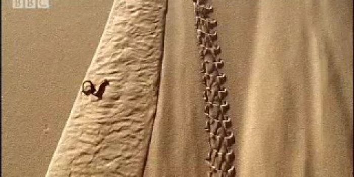 How sand dunes are formed