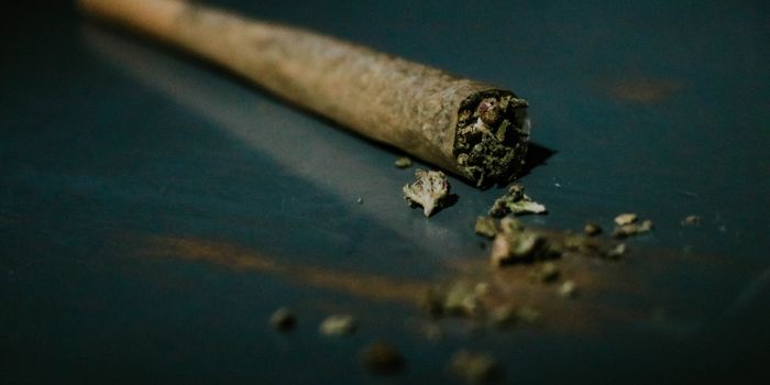 Cannabis Side Effects to Look out For