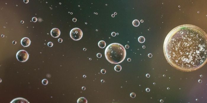 Many Changes in the Gut Microbiome are Linked to Parkinson's Disease