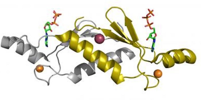 Protein Biology Takes a Giant Leap Into the Future