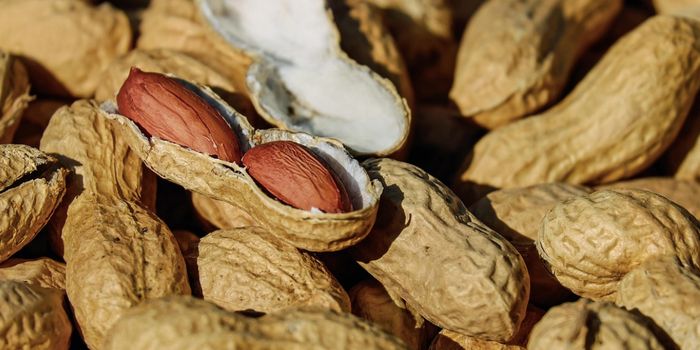 Genetic Study Offers New Insights Into Food Allergies