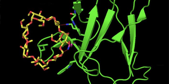 Understanding Disease Through Drug Mechanism