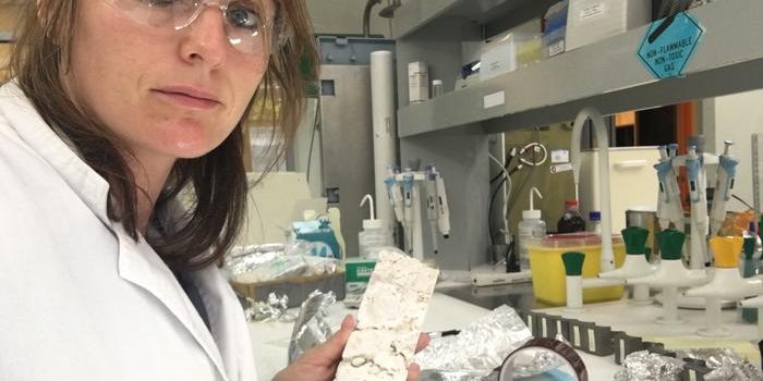 Neutron Scans Unlock Coral Climate Secrets