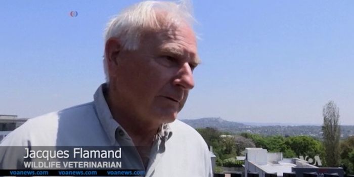 Some Good, Some Bad in 2016