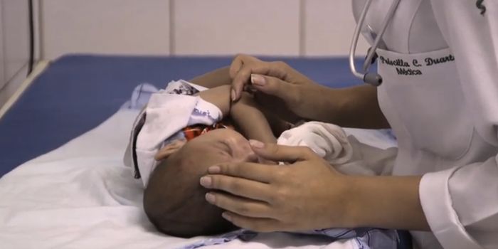 Zika Virus Infections in Early Life Can Cause Brain Damage