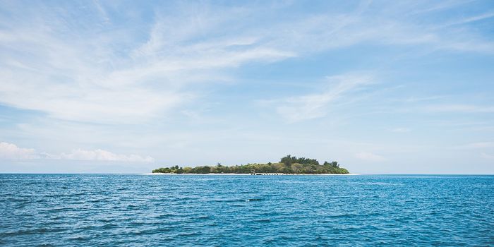 The Island That Suddenly Disappeared