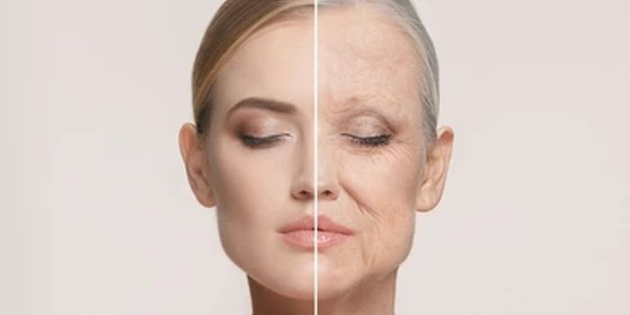 Cellular secrets of aging unlocked by researchers