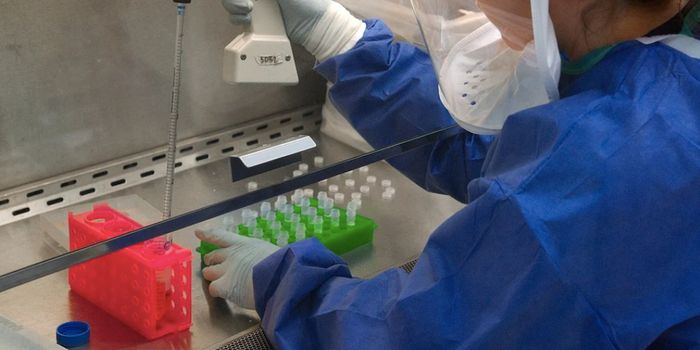 Organoids Reveal Common Mechanism Underlying Rare Disorders