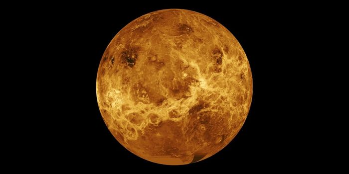 Here's Why Scientists Are So Interested in Studying Venus
