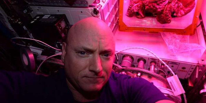 NASA is Now Growing Flowers on the International Space Station