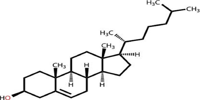 Dietary Cholesterol and Its Impact on Autoimmune and Infectious Disease Processes