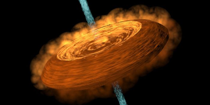 Astronomers Spy a Curious Hamburger-Shaped Protostellar Disk