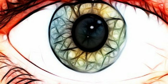 Printing a Cornea in 3D