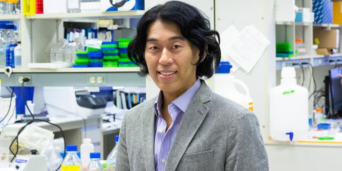 A DNA 'Stitch' as a Therapy for Duchenne Muscular Dystrophy