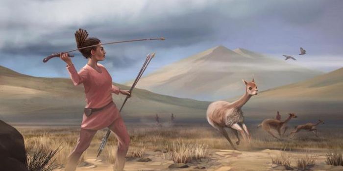 More Ancient Females Were Hunters Than Assumed