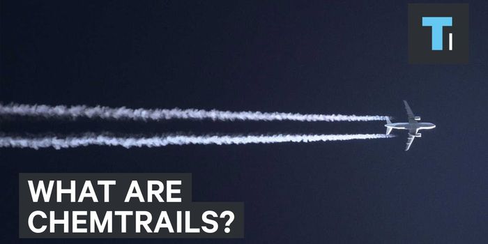 Scientists Offer Evidence to Quell Rumors of 