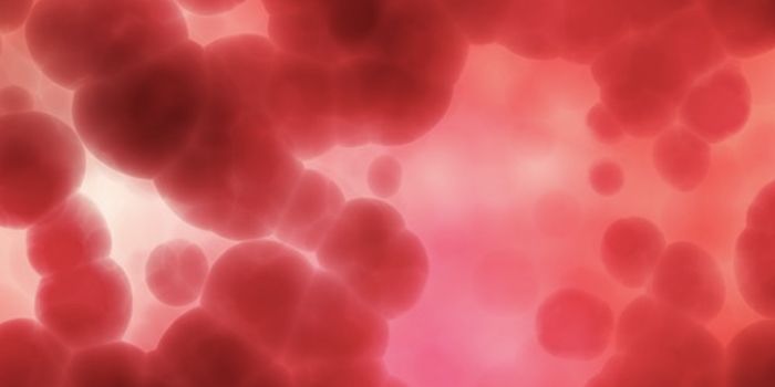 An Atlas of the Proteins in Human Blood