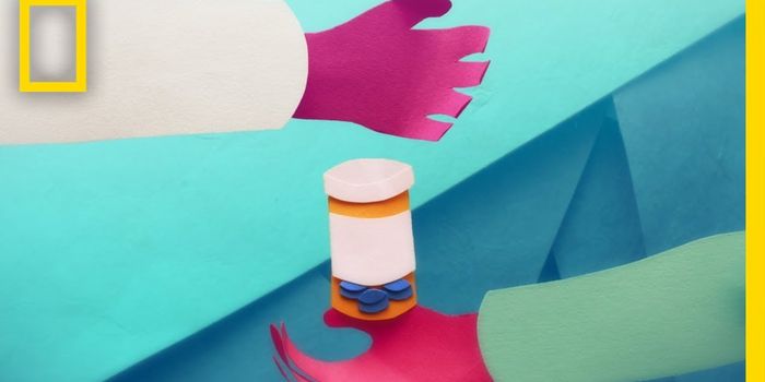 Your brain on opioids