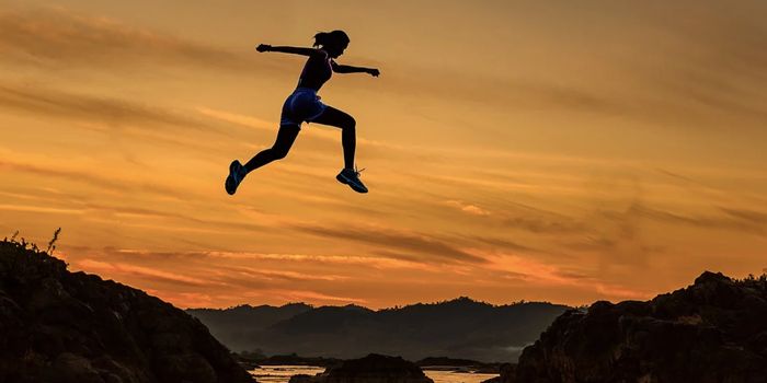 Researchers ID Neurons That Hardwire a "Winning Mindset" & Social Rank