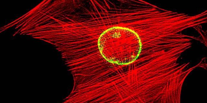 NSCLC Market Growing