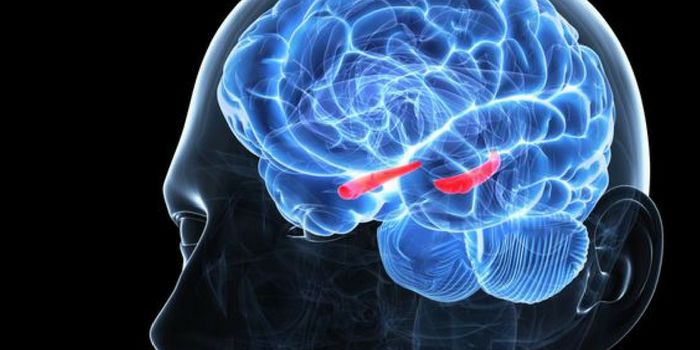 Malignant Glioma Growth Patterns Leave Hippocampus Unaffected