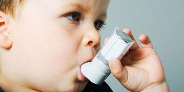 Discovery of a Protein led to a Therapeutic Approach For Asthma