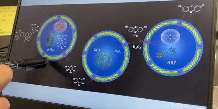 Mimicking Cells With a Microfluidic Chip