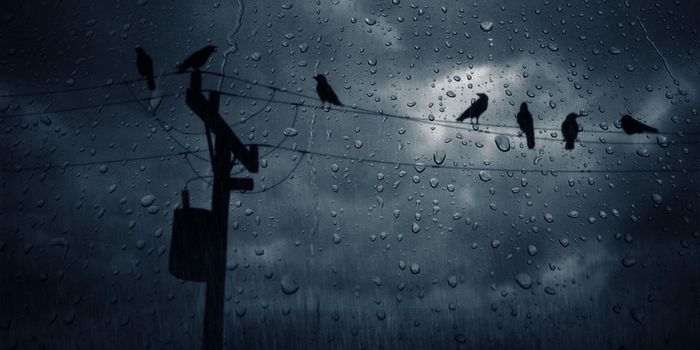 The Recent Rainy Month of May Just Broke a 121-Year Old U.S. Record