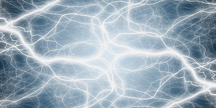 Immature Astrocytes Promote High Levels of Neuroplasticity