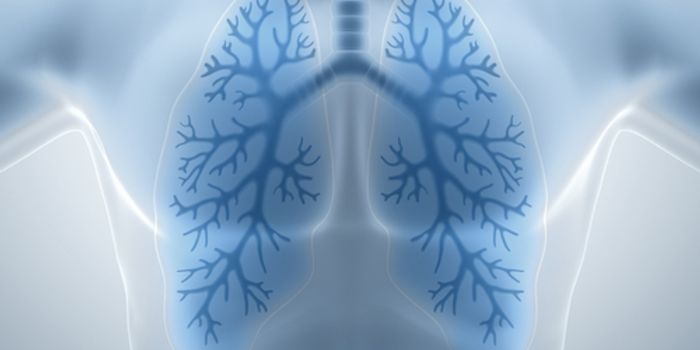 Researchers Discover Novel Mechanism Controlling Lung Cancer Stem Cell Growth