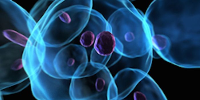 Closer to AI: Electronic Long-Term Memory Cells Mirror Human Brain