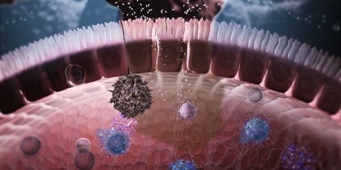 Immunology in the Gut Mucosa 