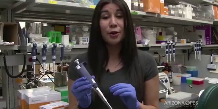 Starting Research Early