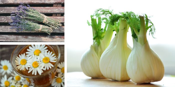 The Three Common Herbs Combating High Blood Pressure: Molecular Mechanism Revealed