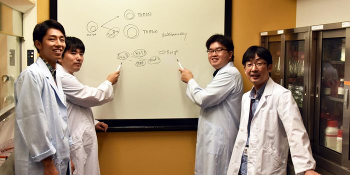 Specialized Autoimmune Approach Prevents A Vulnerable Immune System
