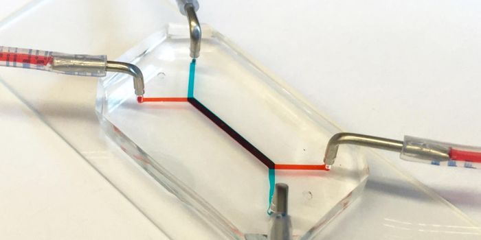 Scientists Create Placenta-on-a-Chip to Study Preterm Birth