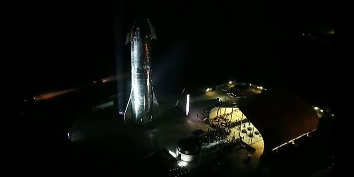 Elon Musk Shows Off SpaceX's Shiny New Starship