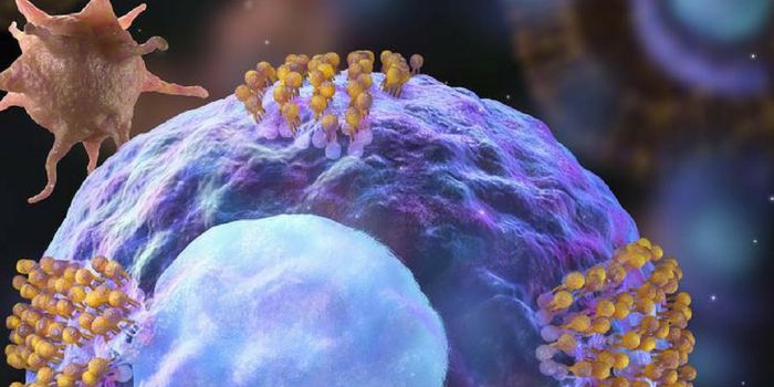 Cardiac Stem Cells Designed to Find and Treat Damaged Tissue