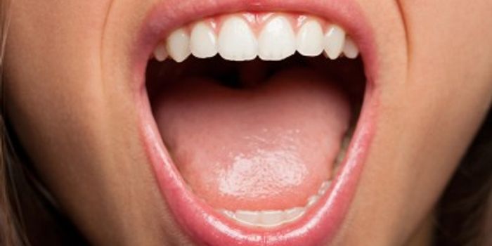 Mucus in Our Saliva Protects Us From Infection