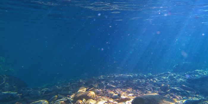 Sub-seafloor aquifer discovered along Northeastern US coast