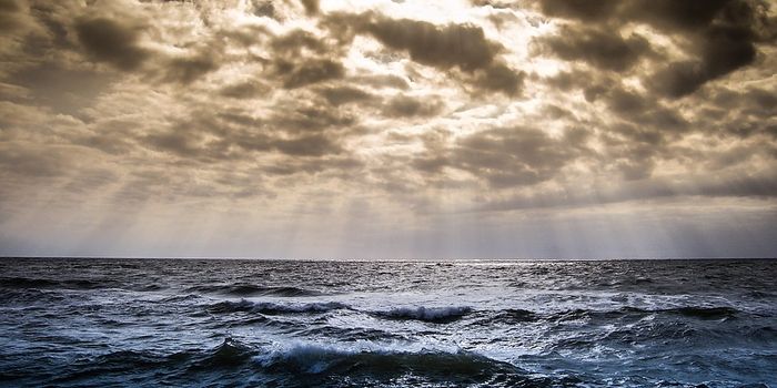 Should we pump iron into the oceans?