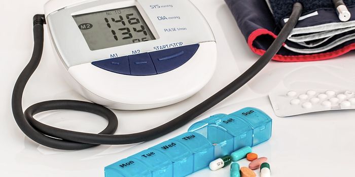 Researchers Discover the Body's Blood Pressure Meters