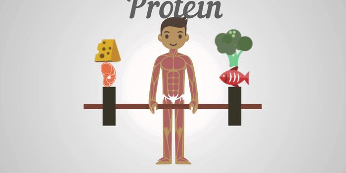 Proteins, Carbohydrates & Fats