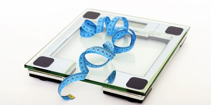 Excess Belly Weight Raises Heart Disease Risk Regardless of BMI